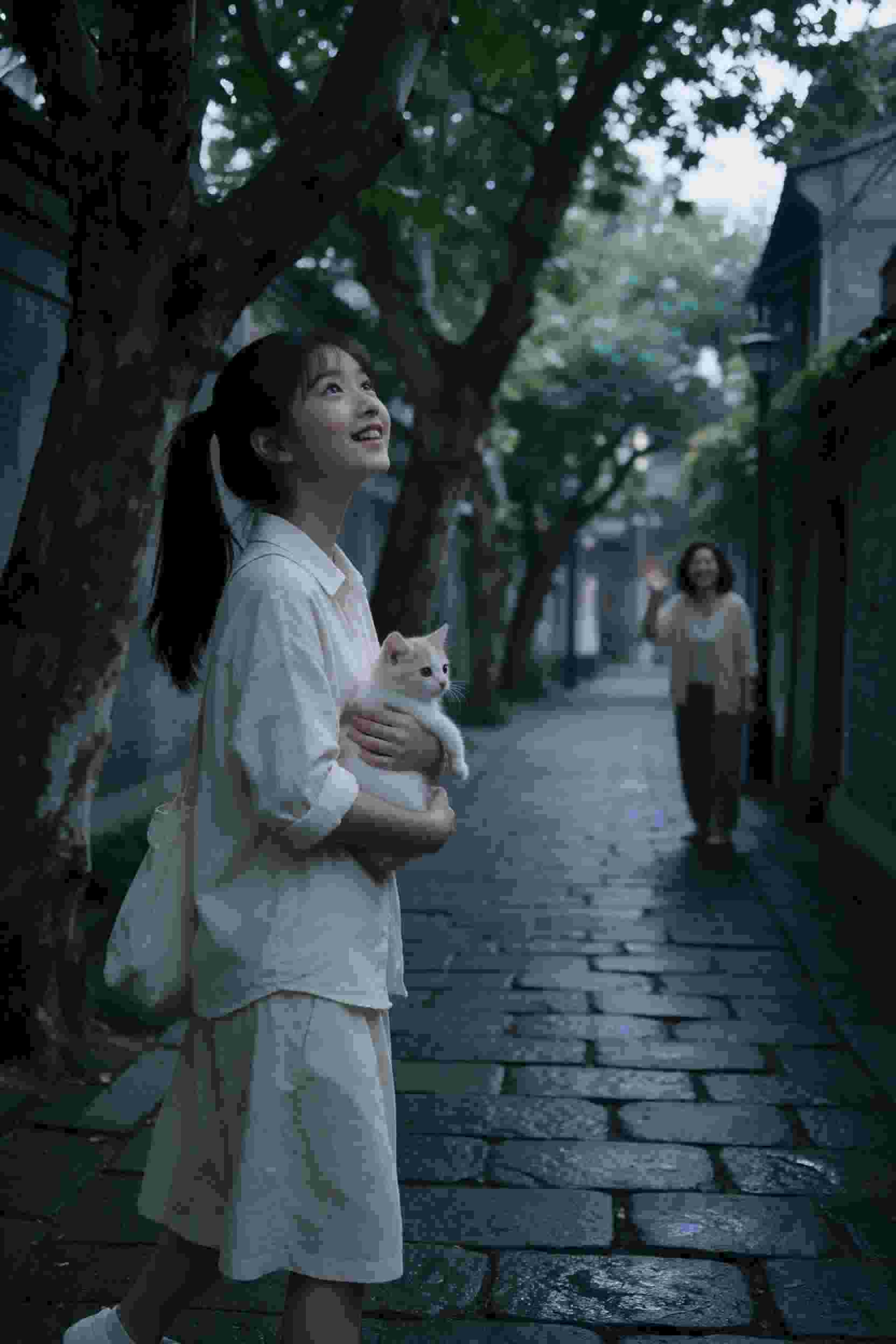 月色真美